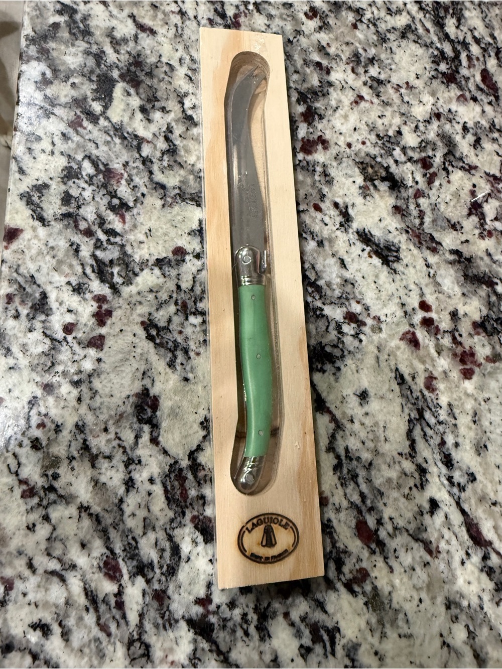 Laguiole Jean Dubost France Butter Spreader Knife